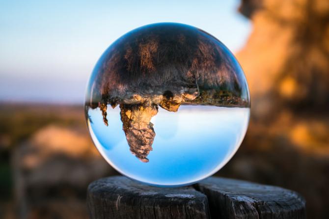 Crystal ball on tree stump reflecting surrounding wilderness