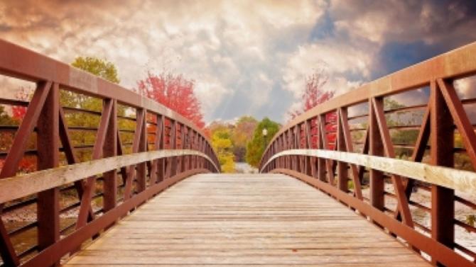 rustic bridge with sky and foliage