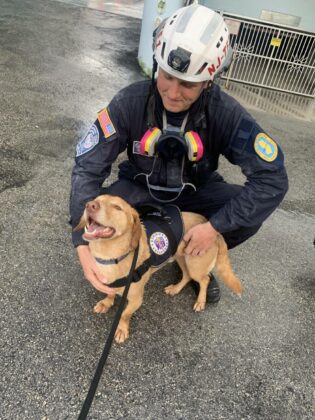 Barrett’s dog Teddy, a canine crisis response dog, in Surfside, Florida following the 2021 condo collapse.